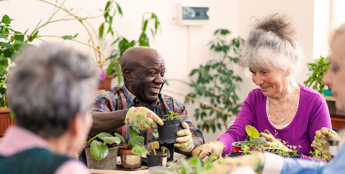 group of seniors potting plants